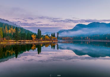 Purity & Tranquility